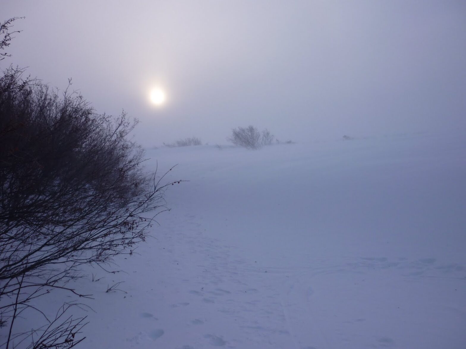 Making sloooooow progress in the trenches towards Kamchatka!