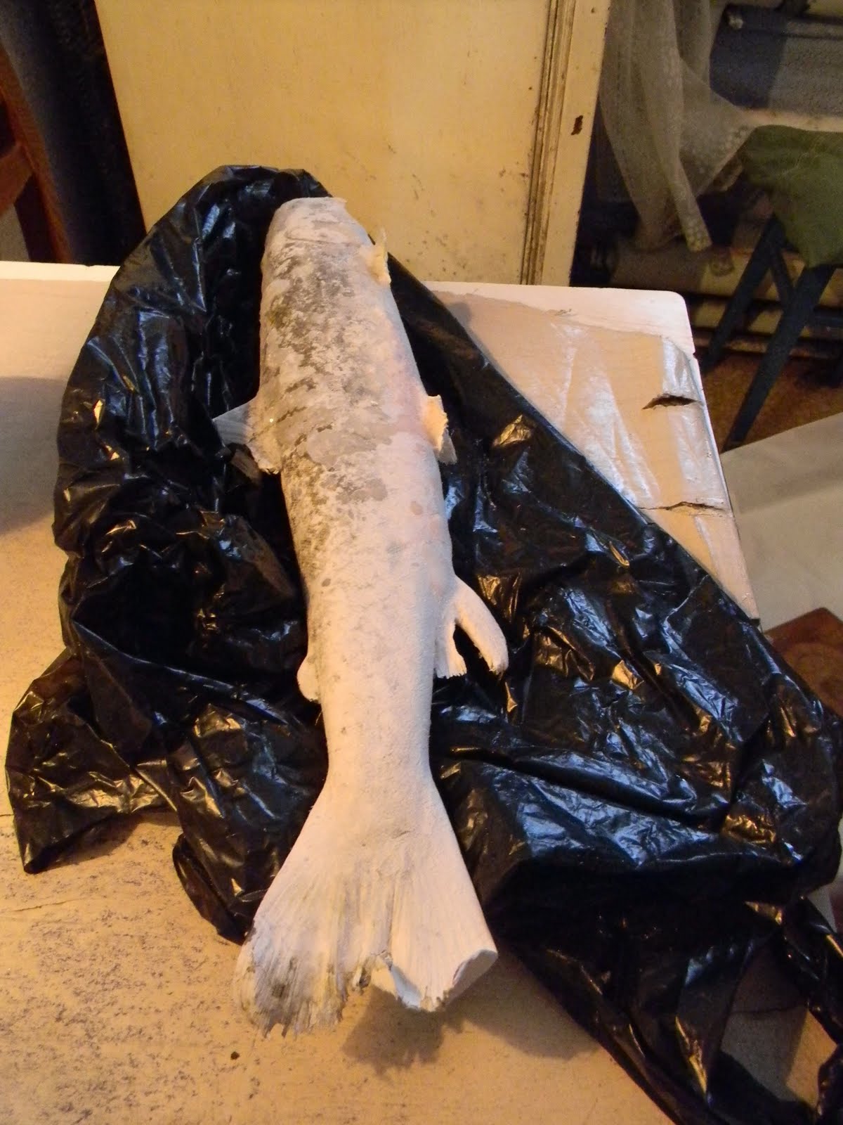 амто пойтыл’ ан!