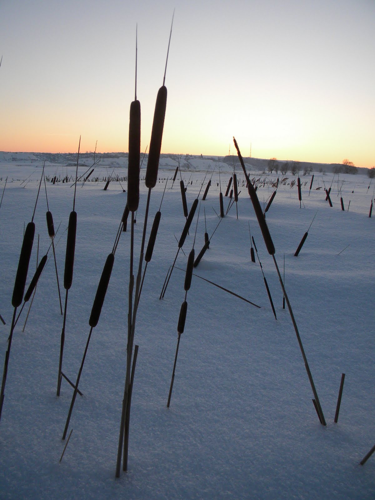 Training in Western Russia