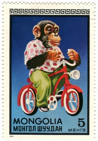 From Yakland to Cameland